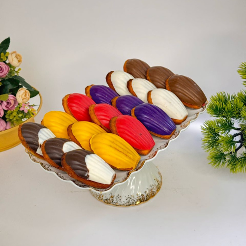 Дизайн без названия - 2025-04-11T212201.177